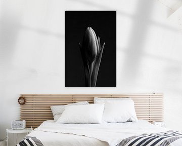 Een tulp (zwart wit) van Marjolijn van den Berg