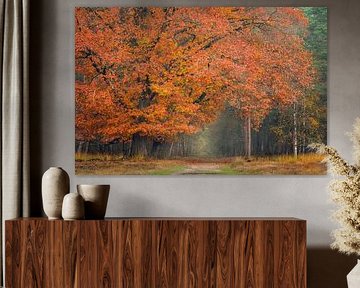 Deelerwoud in herfstkleur van Jeroen Lagerwerf