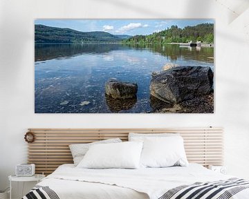 Au bord du lac Titisee en Forêt-Noire sur Animaflora PicsStock