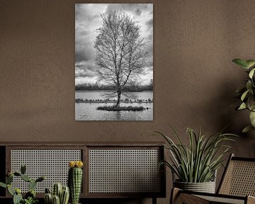 Eiland met boom, ganzen en wolken in zwart wit van Lisette Rijkers