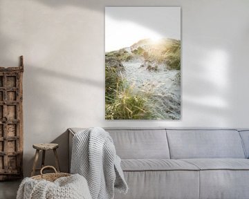 Heure dorée dans les dunes près de Hargen sur Marit Hilarius