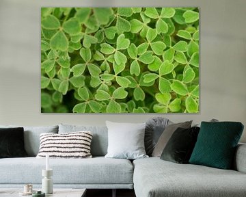 Een tapijtje van groene blaadjes van Birgitte Bergman