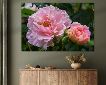 Botanical Flowers Peony rose by Blond Beeld