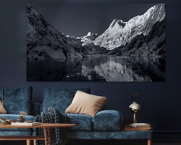 Fjord mooi en erg koud van Erwin Floor