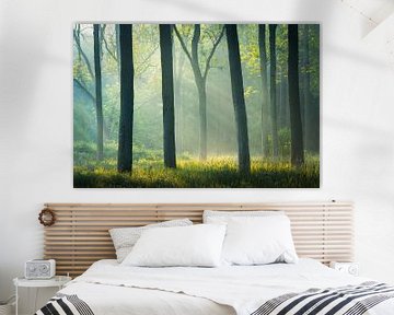 Bomen met zonneharpen | Symmetrische landschapsfoto | Overijssel van Marijn Alons