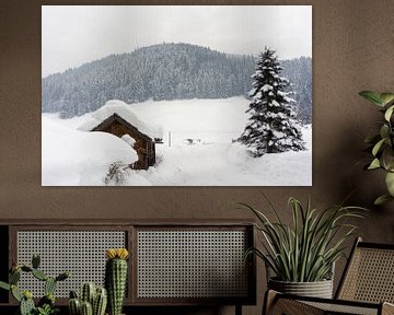 Een dik pak sneeuw in Oostenrijk