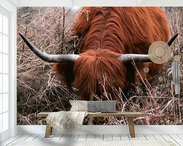 Schotse hooglanders in het amsterdamse bos van Lindy Schenk-Smit