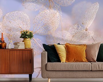 Panorama of hydrangea leaves (skeletonized)