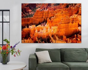Paysage enchanteur Hoodoos Amphithéâtre dans le parc national de Bryce Canyon Utah USA sur Dieter Walther