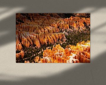 Landschaft Amphitheater mit Hoodoos im Bryce Canyon Nationalpark Utah USA von Dieter Walther