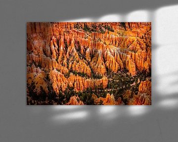 Landschaft Amphitheater mit Hoodoos im Bryce Canyon Nationalpark Utah USA von Dieter Walther