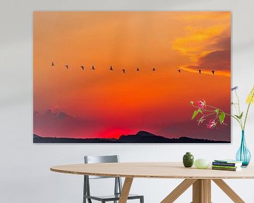 Zonsondergang met vogels van Lisa Dumon