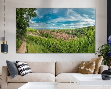 A village in the middle of the vineyards, Ribeauville, Alsace, France