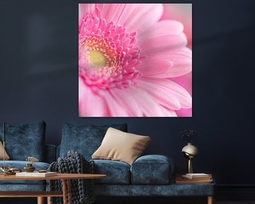 Fel roze  gerbera bloem met geel hart art print - lente natuurfotografie.