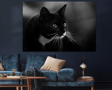 Zwarte kat van Aline Nijland