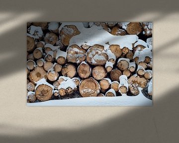 Holz im Schnee von Martin Wasilewski