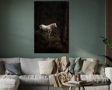 Wild Wit Paard van Andreas Vanhoutte