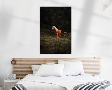 Wild Horse by Andreas Vanhoutte