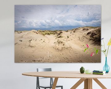 Dunes of Texel by Rob Boon