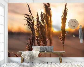 Grass in beautiful evening sun by Elles van der Veen