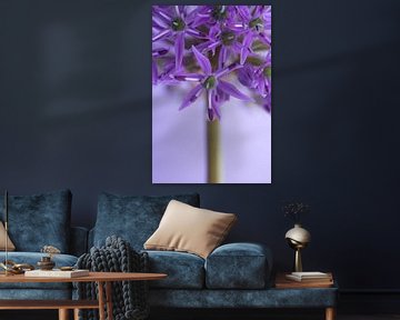 Die violette Allium von Marjolijn van den Berg
