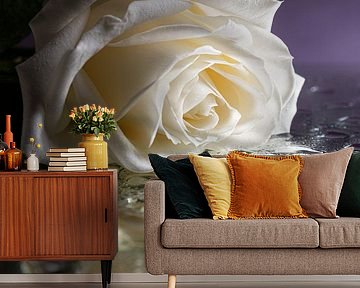 The fallen white rose by Marjolijn van den Berg