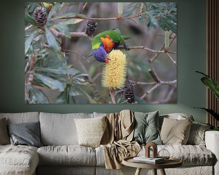 Aperçu de la chambre