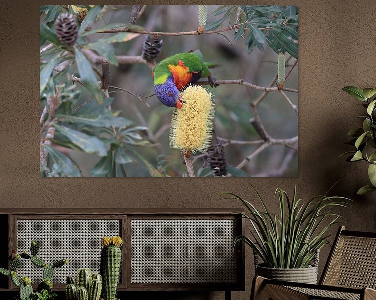 Aperçu de la chambre