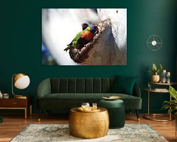 Aperçu de la chambre