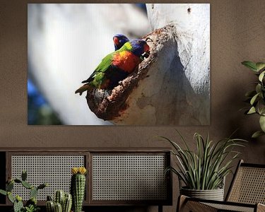 Aperçu de la chambre