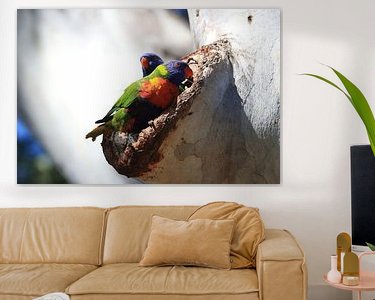 Aperçu de la chambre