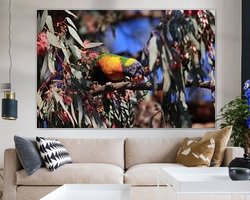 Aperçu de la chambre