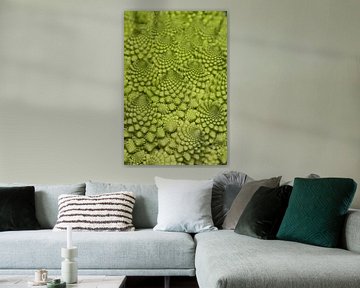 Romanesco van Muriël Mulder Fotografie