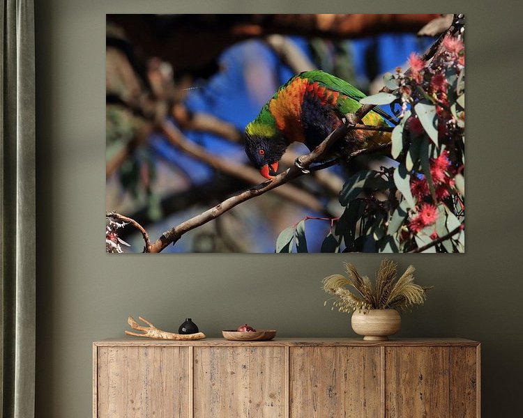 Aperçu de la chambre