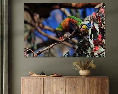 Aperçu de la chambre