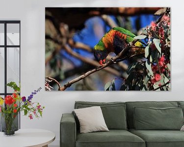 Aperçu de la chambre