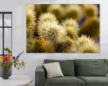 Details Teddy Bear Cholla in Joshua Tree National Park California USA von Dieter Walther