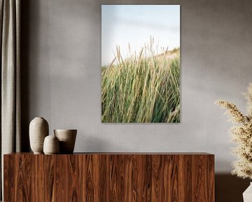 Helmet grass during the golden hour by Marit Hilarius