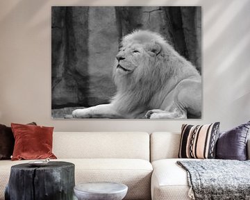 Witte leeuw van Jose Lok