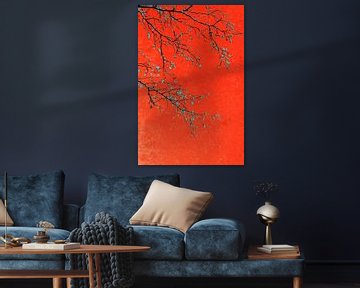 Branches in red by Corinne Welp