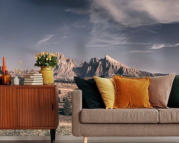 Alpe di Siusi, South Tyrol, Italy by Henk Meijer Photography