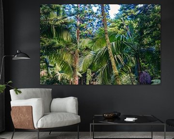 Azores jungle by Sascha Kilmer
