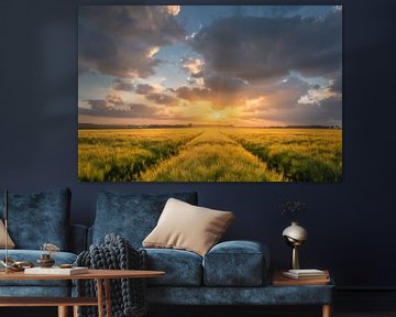 Field with barley during sunset | Summer in Flevoland by Marijn Alons