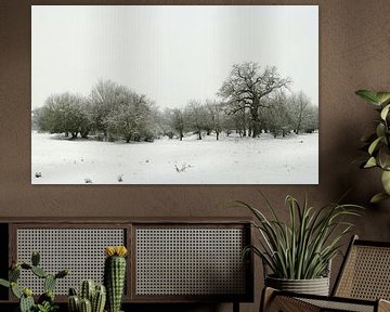 Zwart-witfoto van een winterlandschap in het Wiesenpark bij Magdeburg van Heiko Kueverling