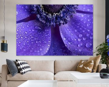 Half anemone with droplets by Marjolijn van den Berg