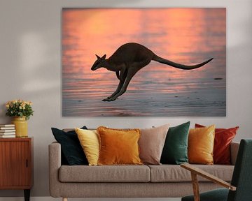 kangourou sur la plage au lever du soleil, mackay, queensland du nord, australie