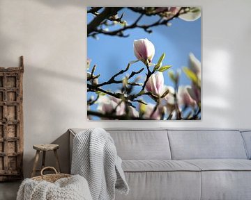 De magnolia van Petra Brouwer