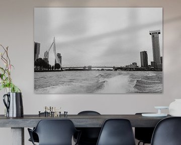 De skyline van Rotterdam gefotografeerd vanaf de watertaxi van Linn Fotografie