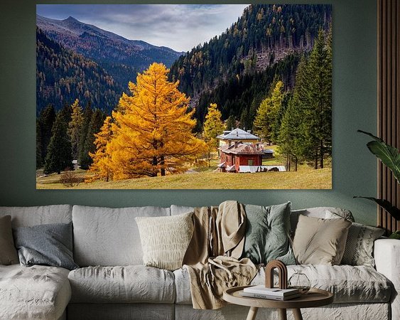 Aperçu de la chambre