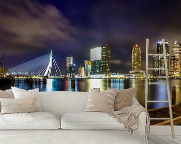 Rotterdam Panorama by Evert Buitendijk